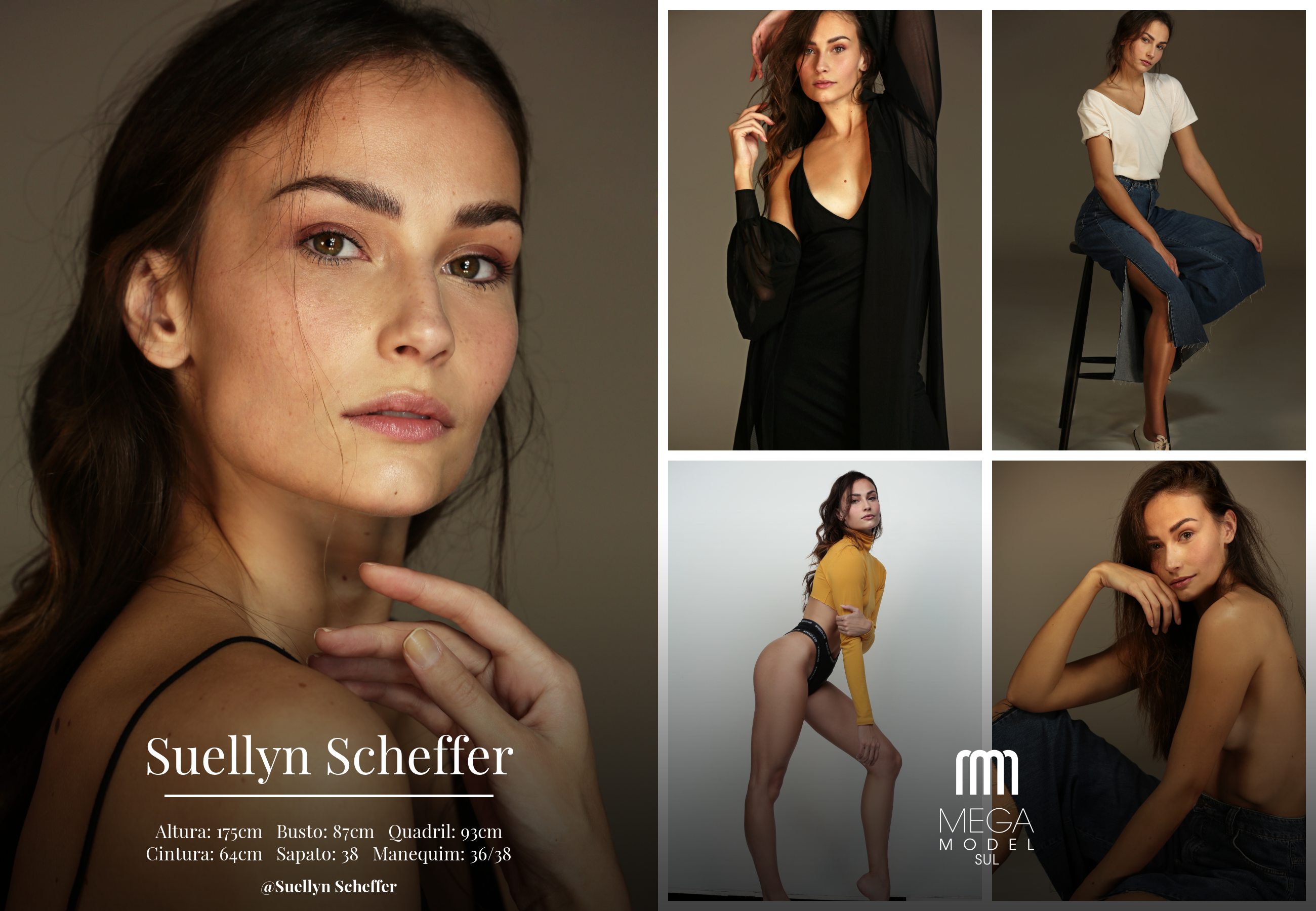 Suellyn Scheffer — Composite